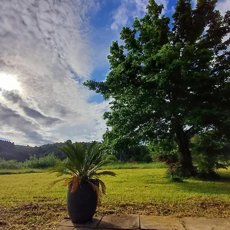 En Haritza Junto Al Mar エア