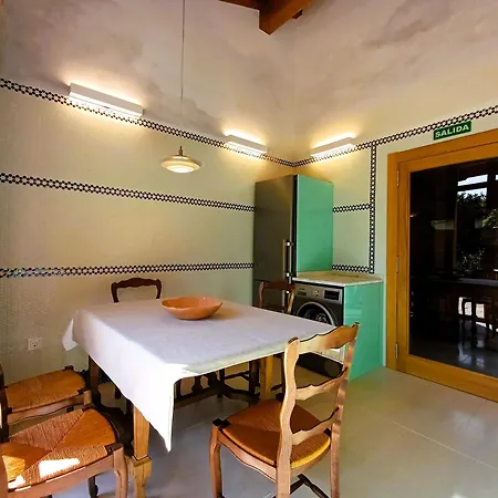 En Haritza Junto Al Mar