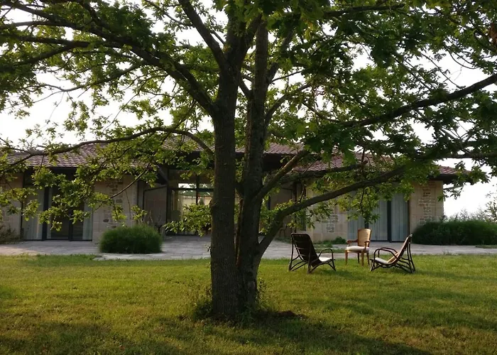 En Haritza Junto Al Mar *